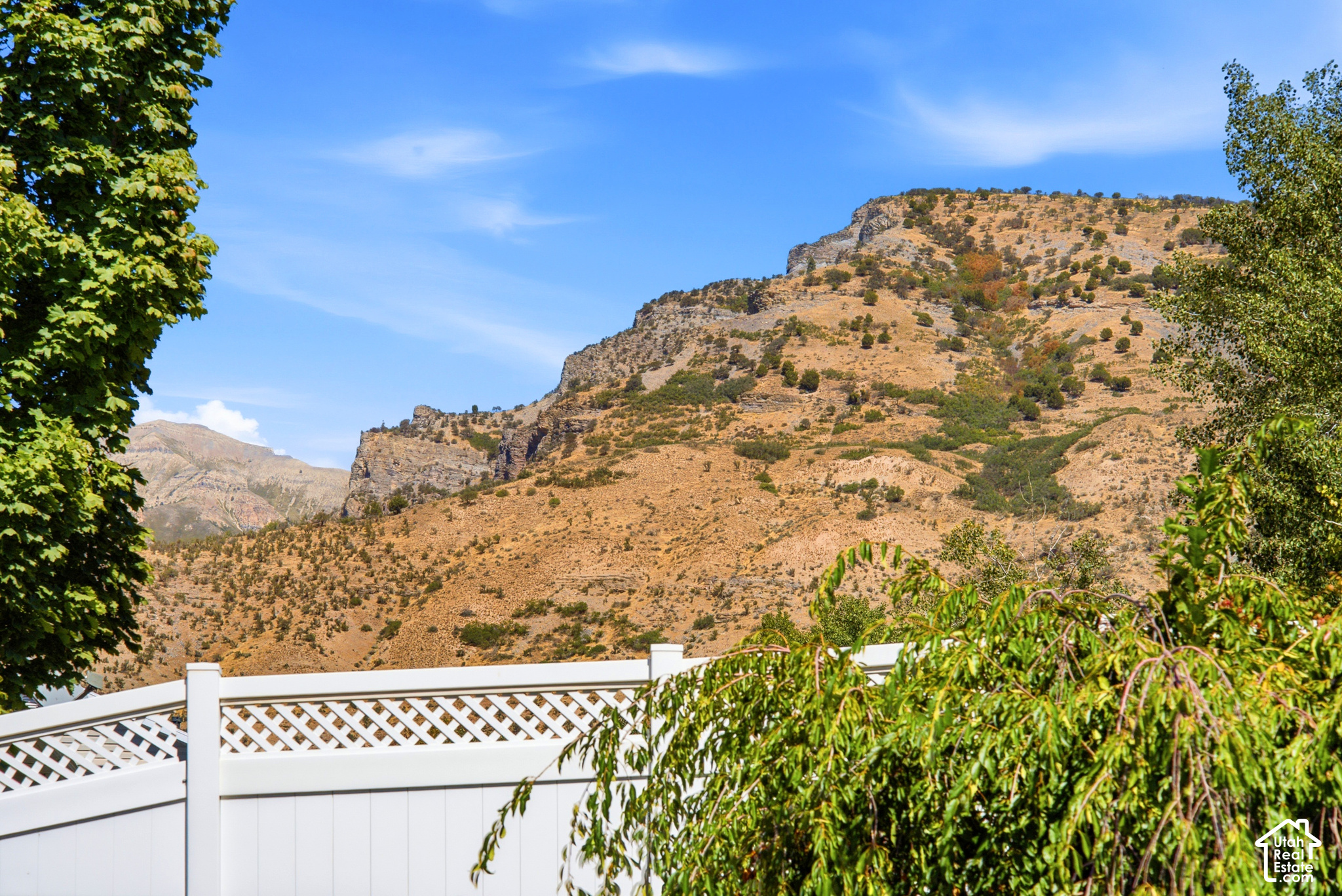 main property photo 61