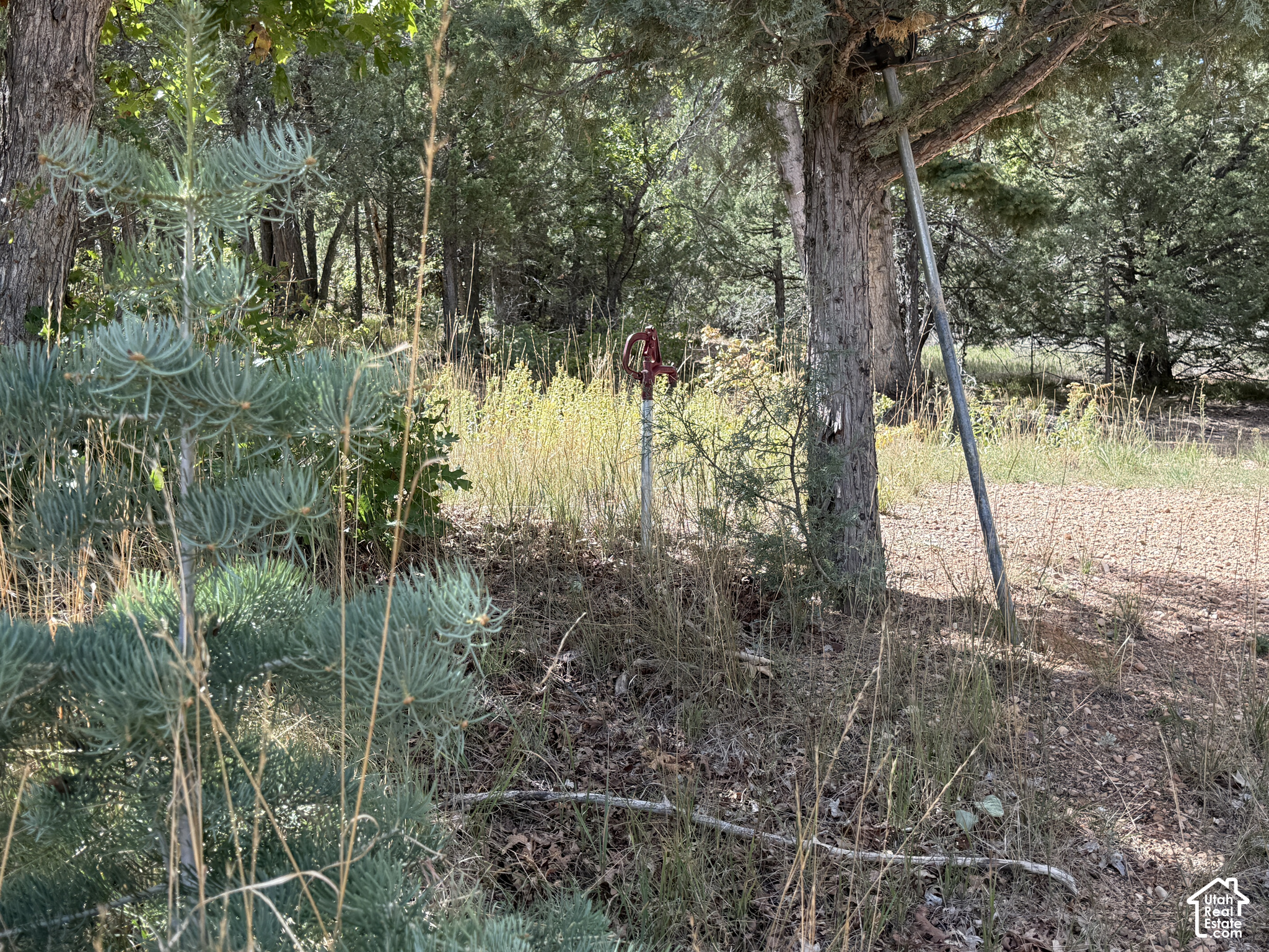 main property photo 14