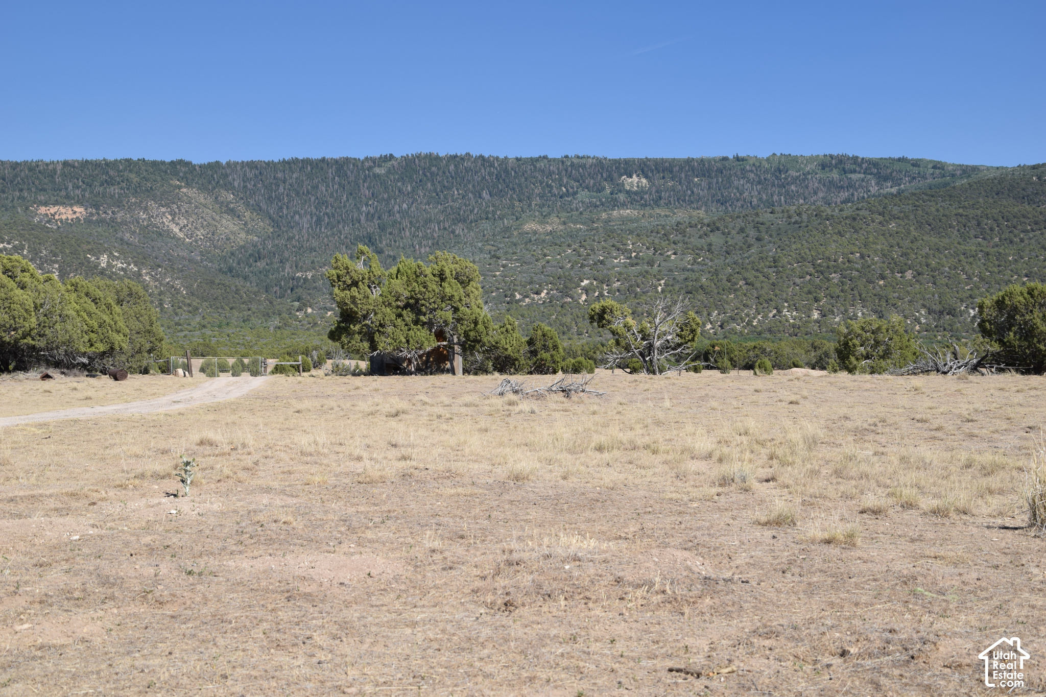main property photo 16