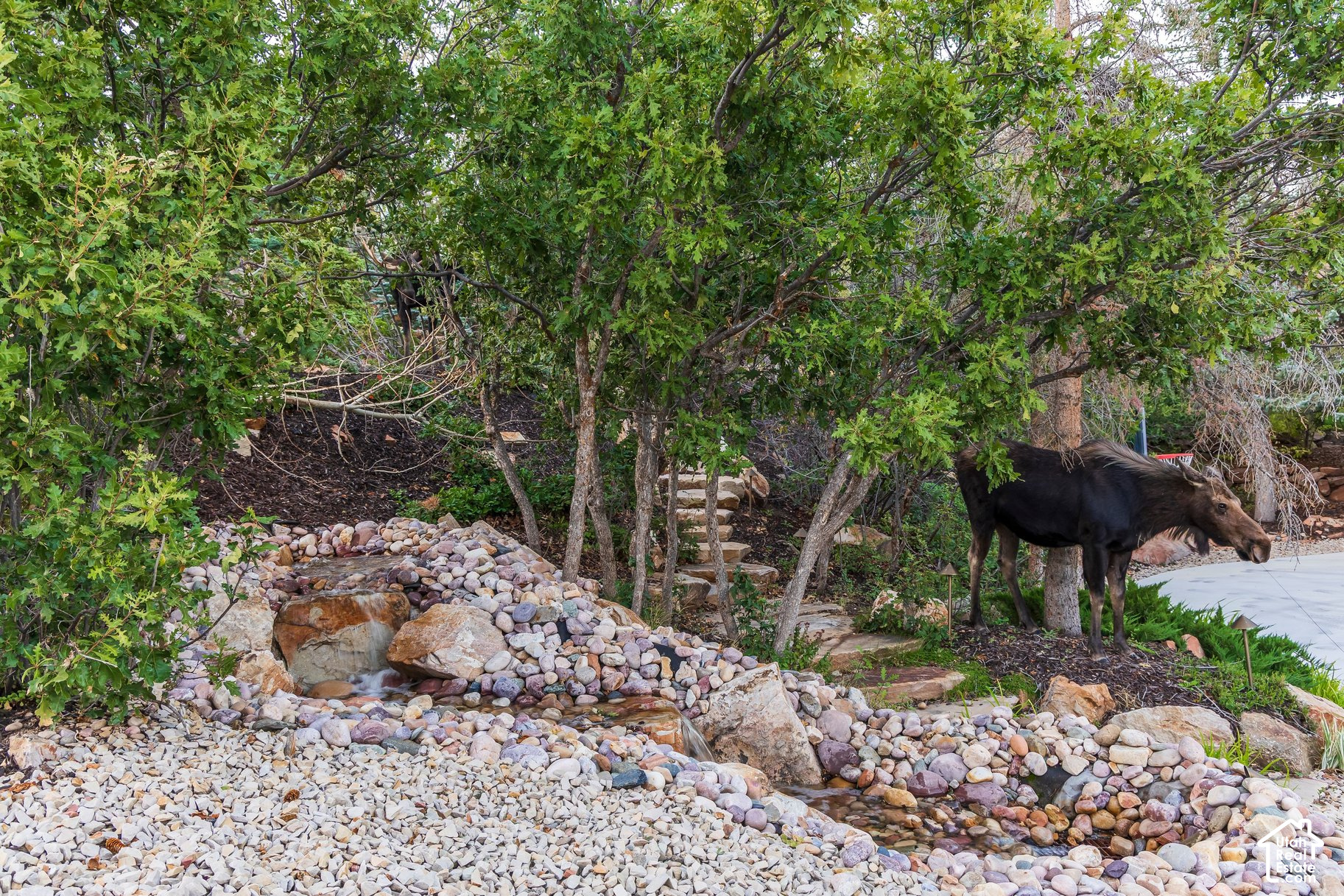main property photo 82
