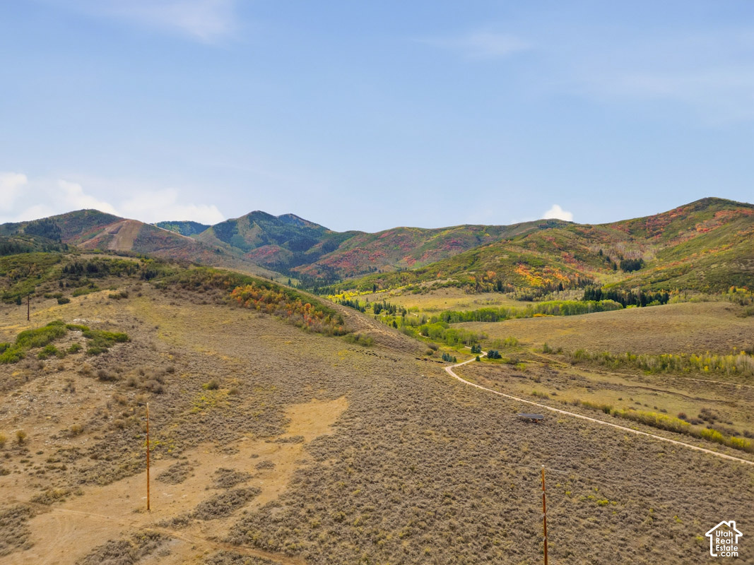 main property photo 24