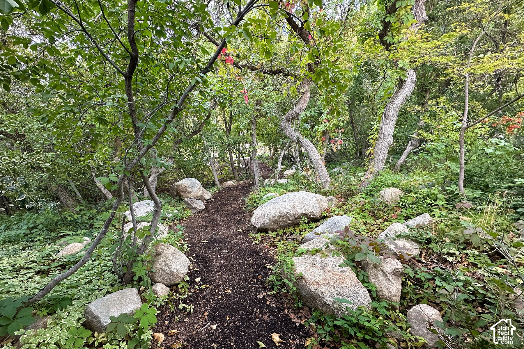 main property photo 85