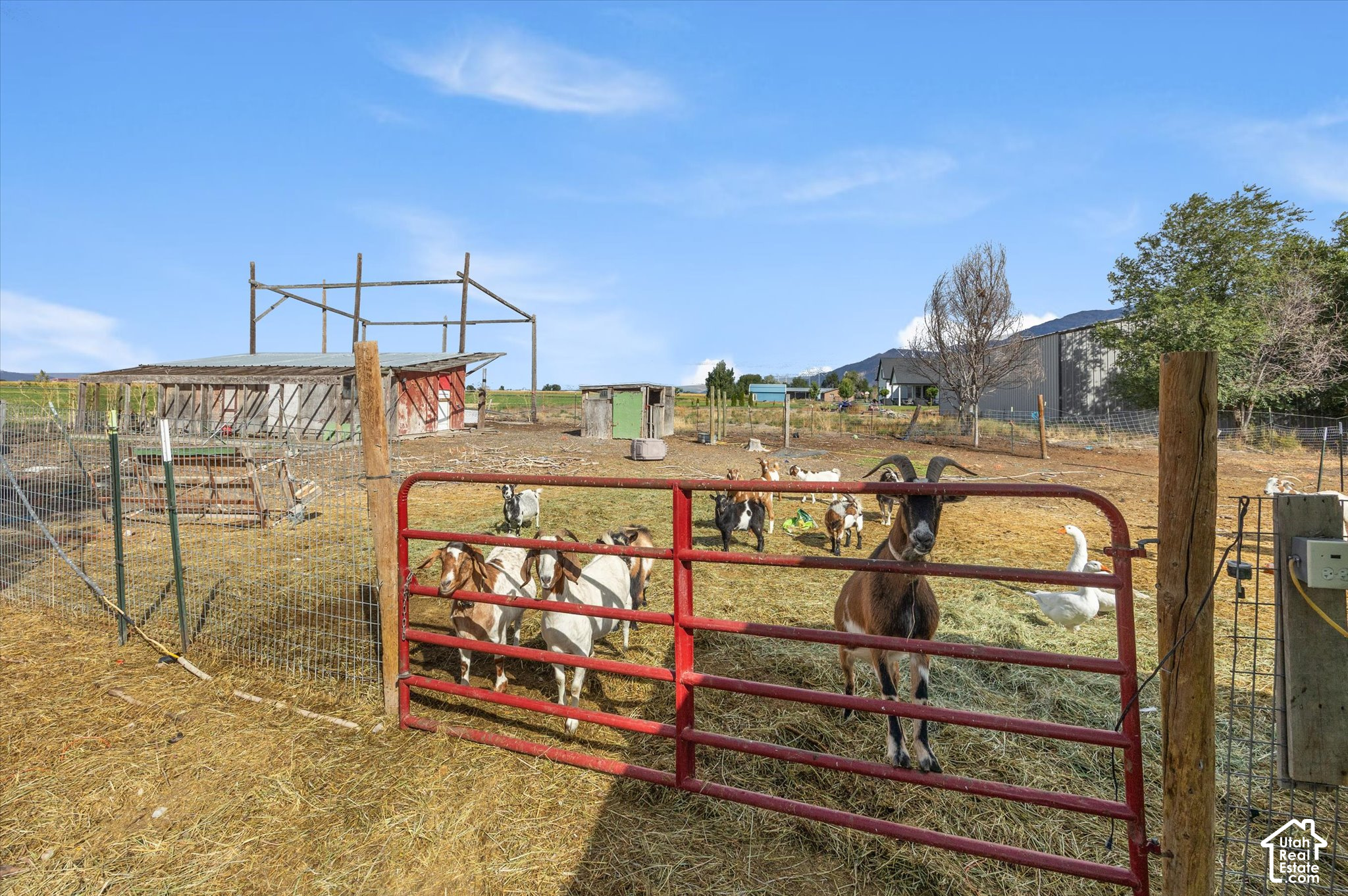 property viewer photo 24