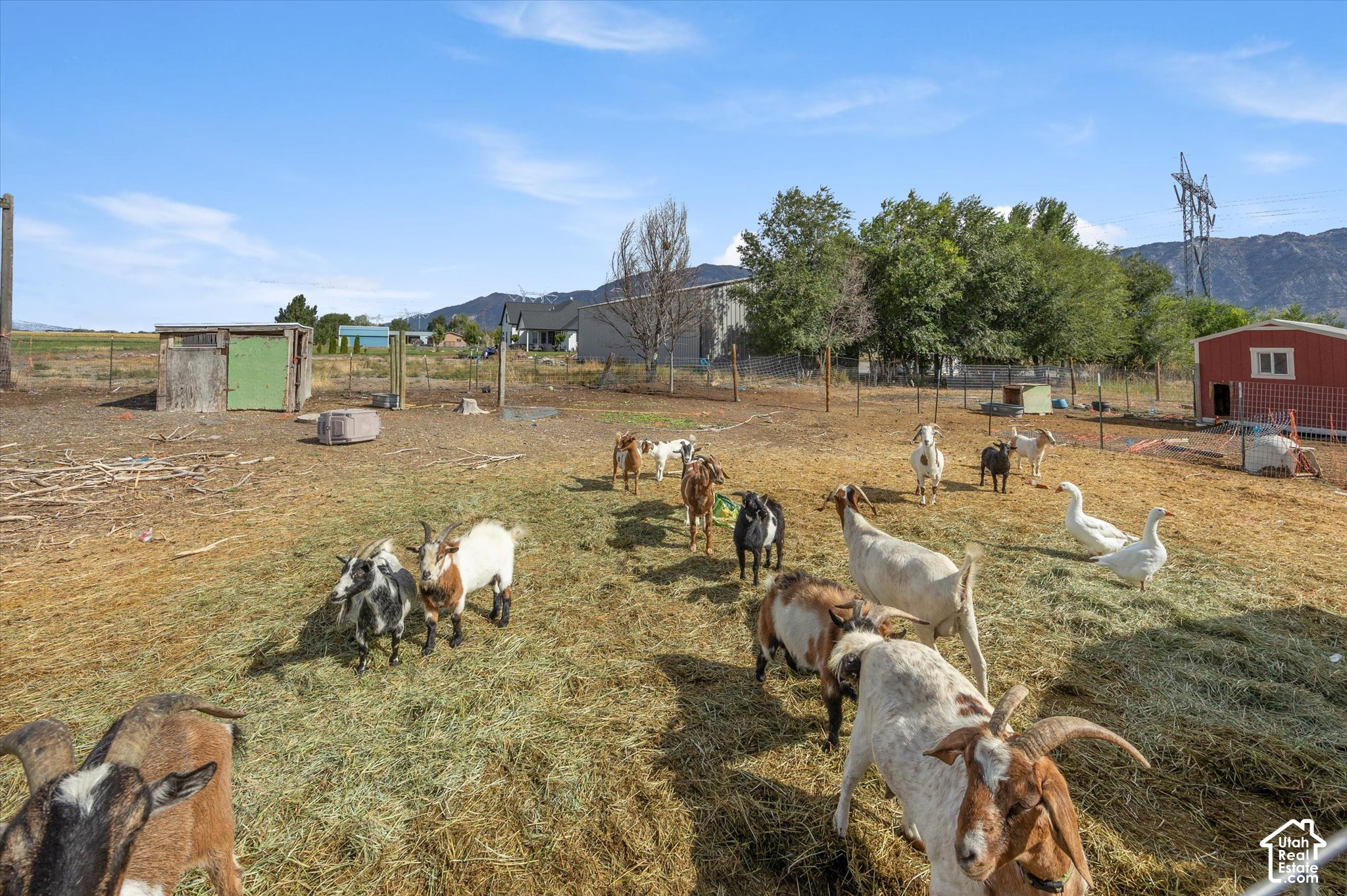 property viewer photo 25
