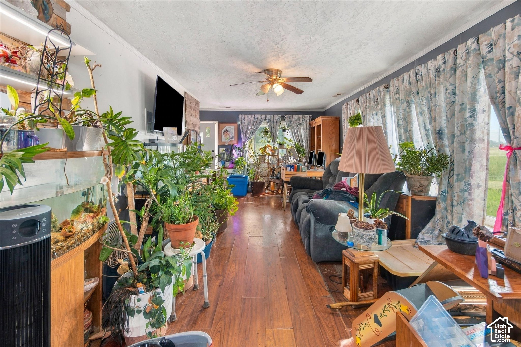 property viewer photo 3