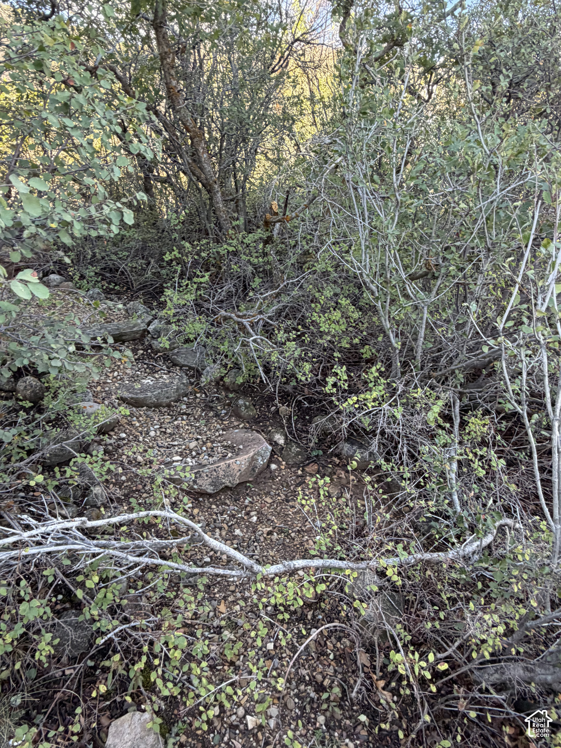 main property photo 85