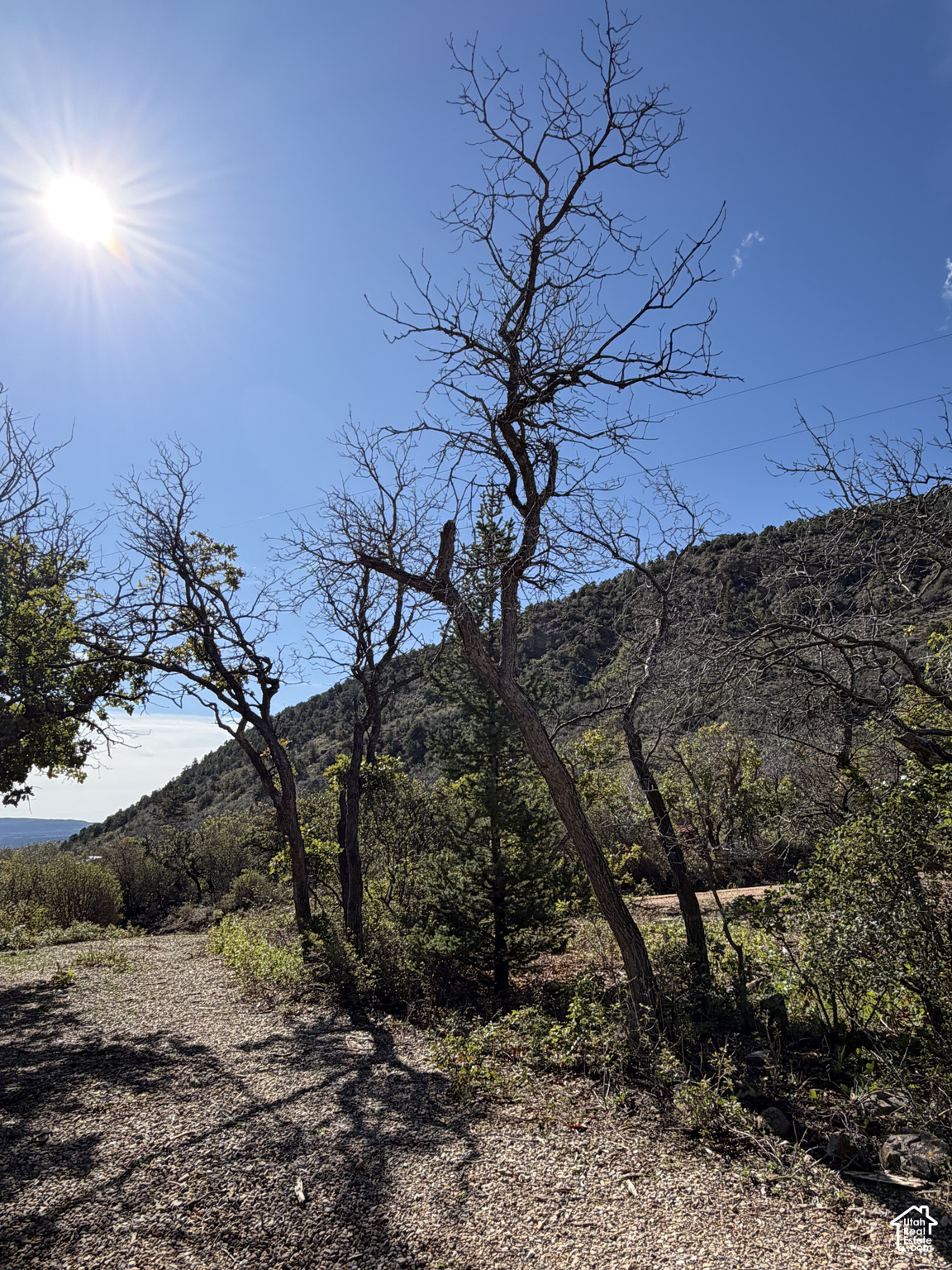 main property photo 89