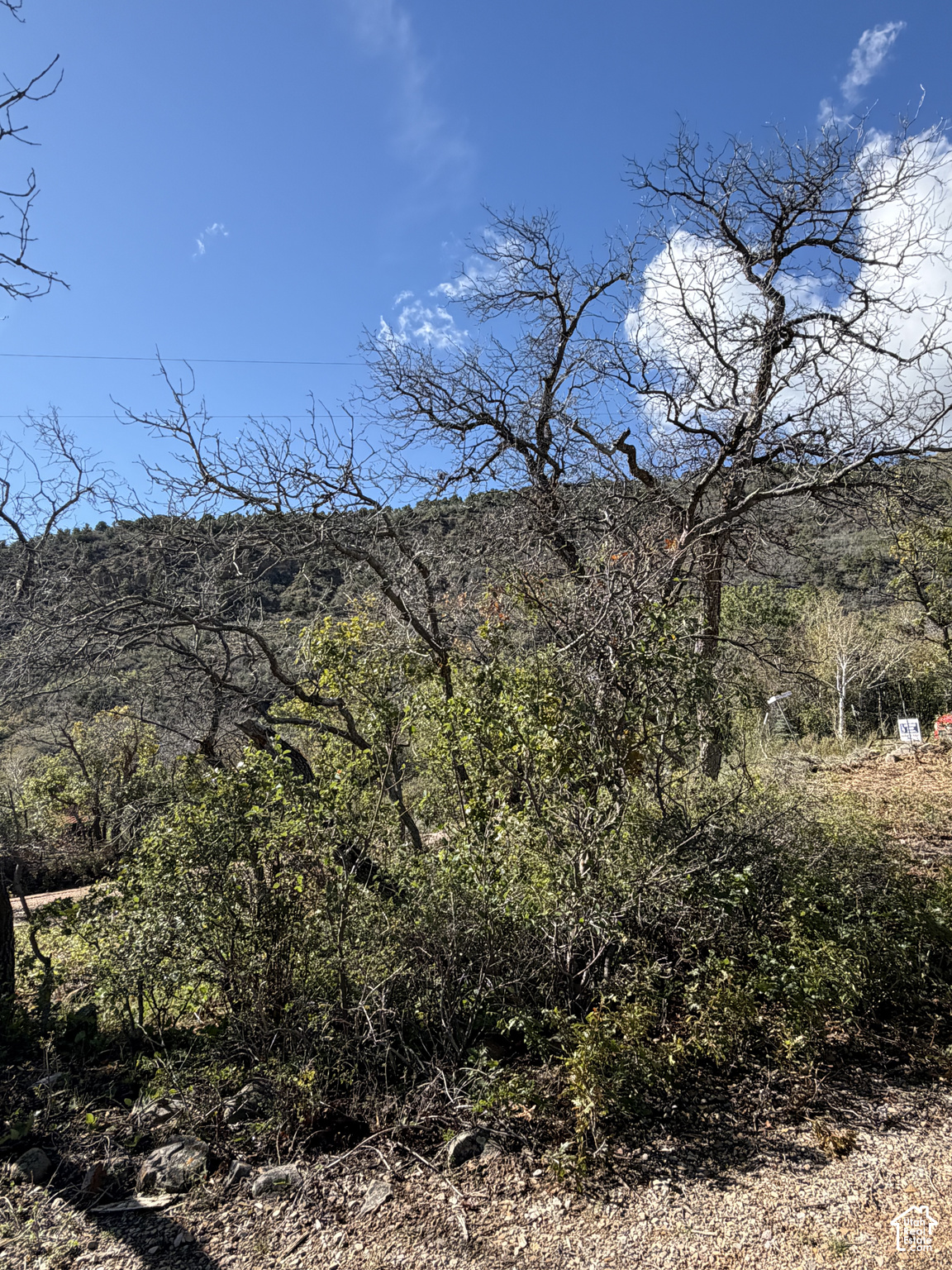 main property photo 90