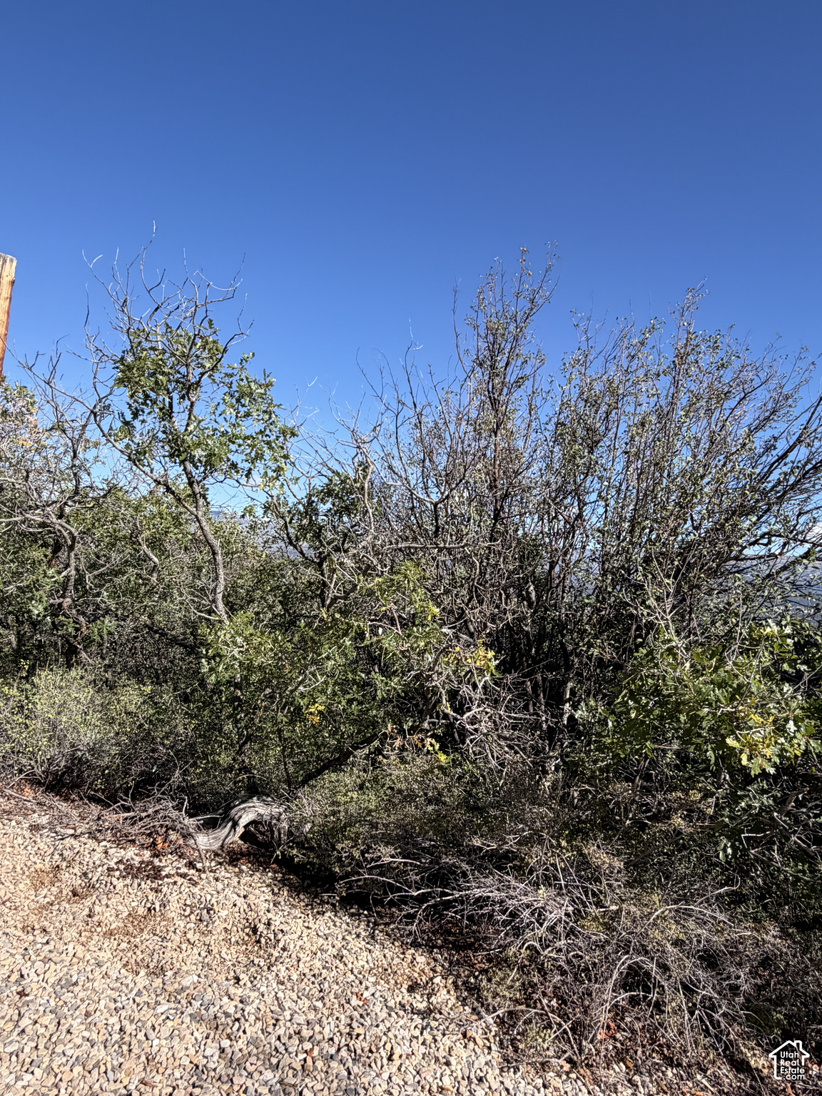 main property photo 91