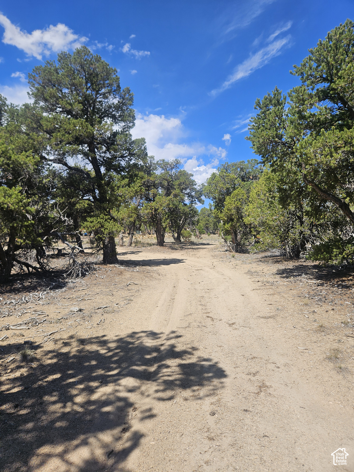 main property photo 13