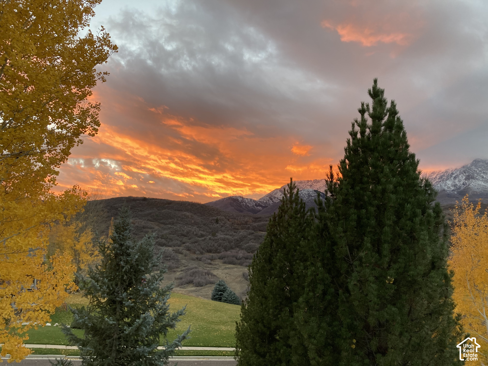 main property photo 105