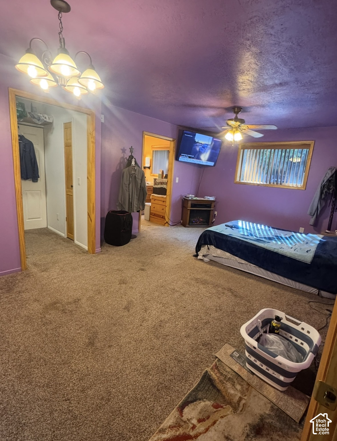main property photo 54