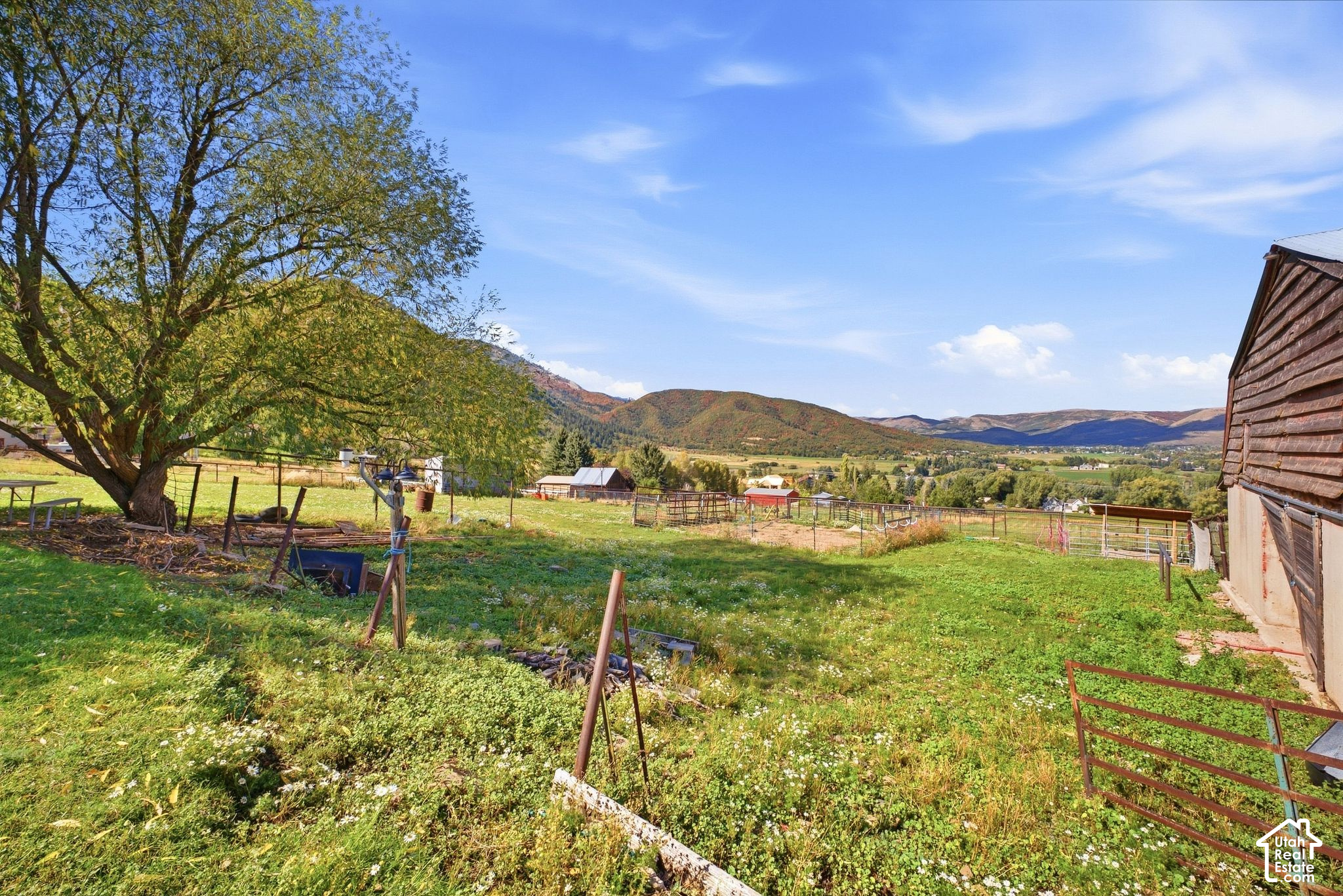 main property photo 54