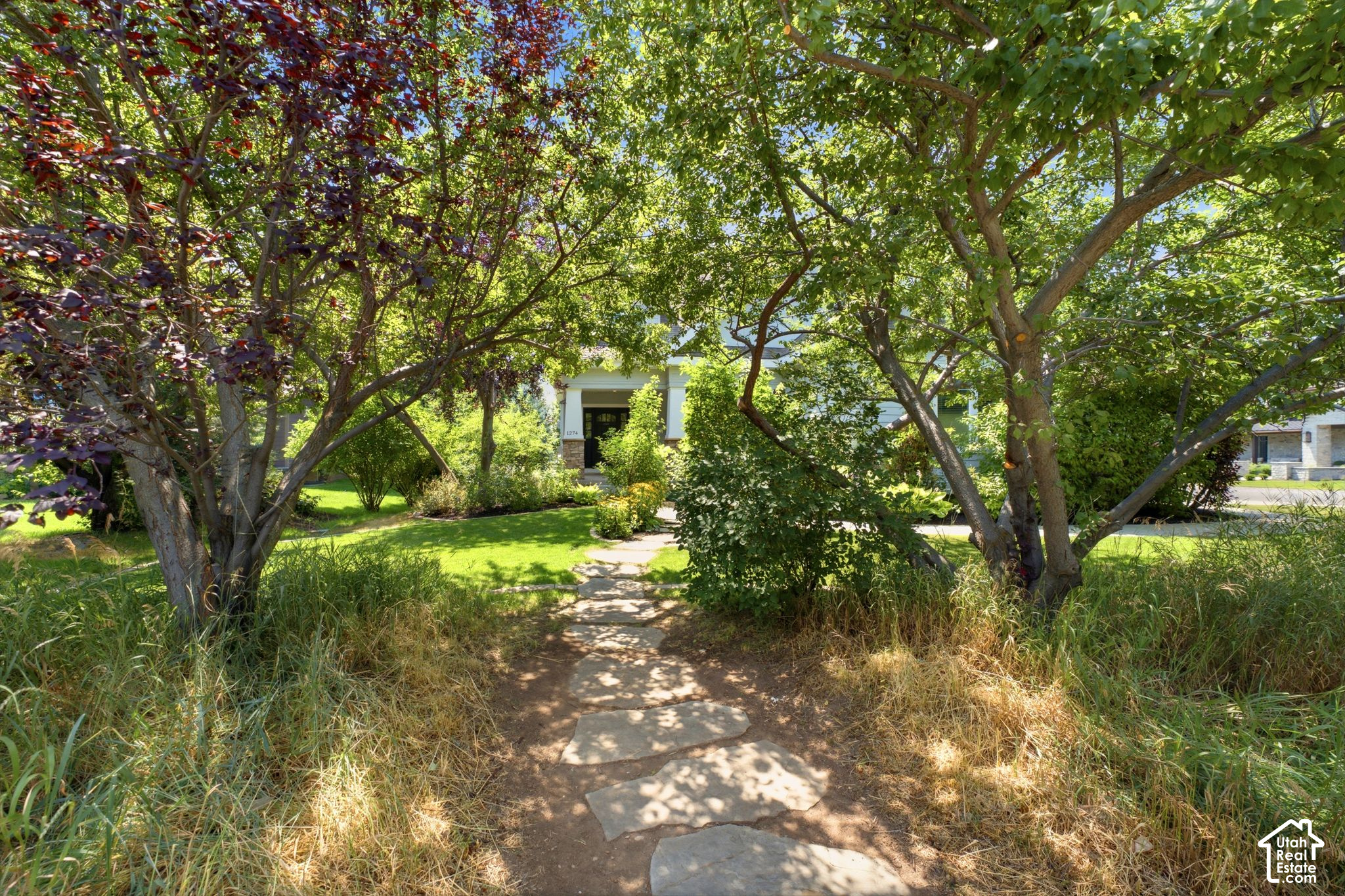 main property photo 62