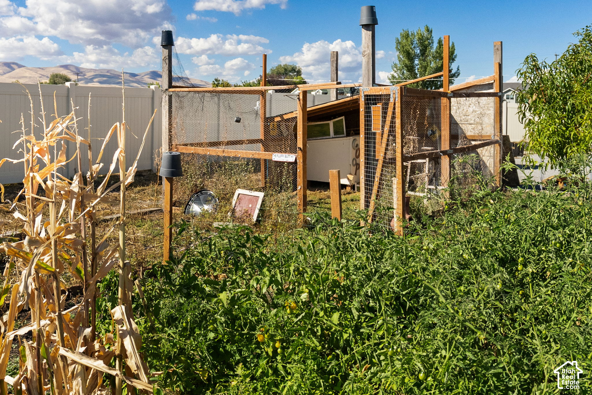 main property photo 55
