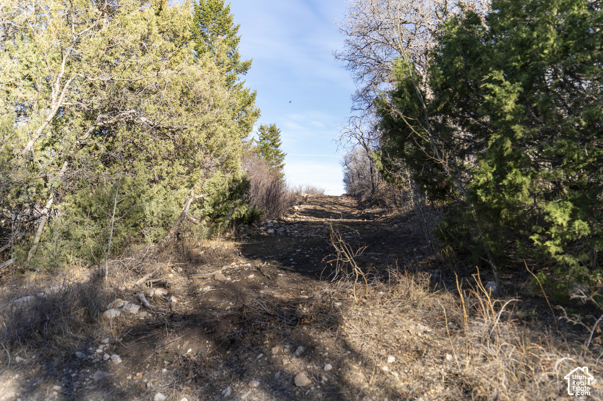 main property photo 52