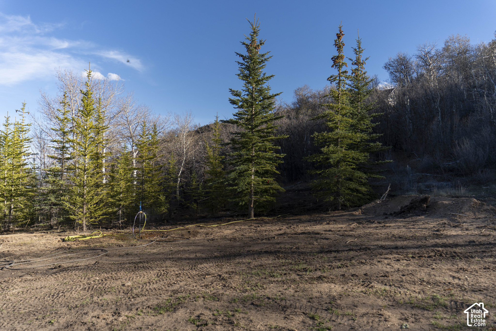 main property photo 57