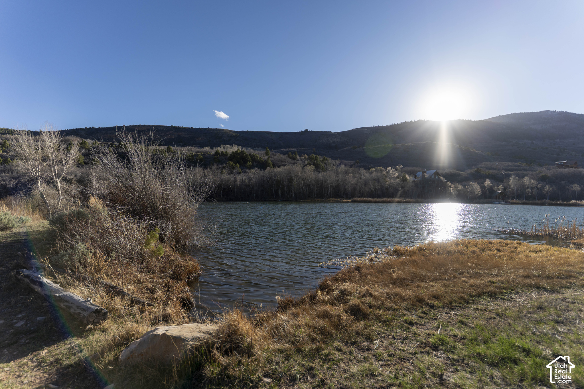 main property photo 64