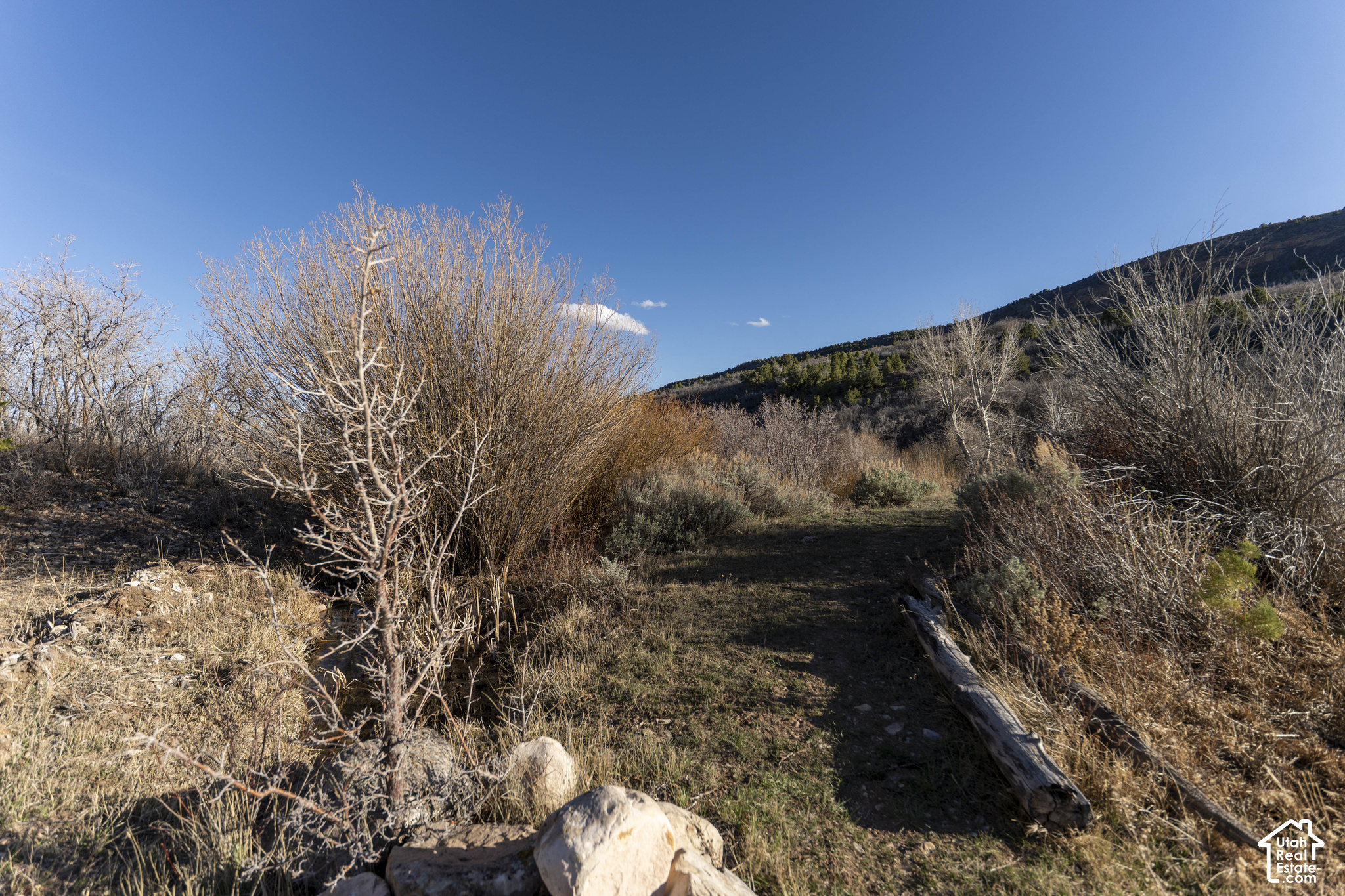 main property photo 66