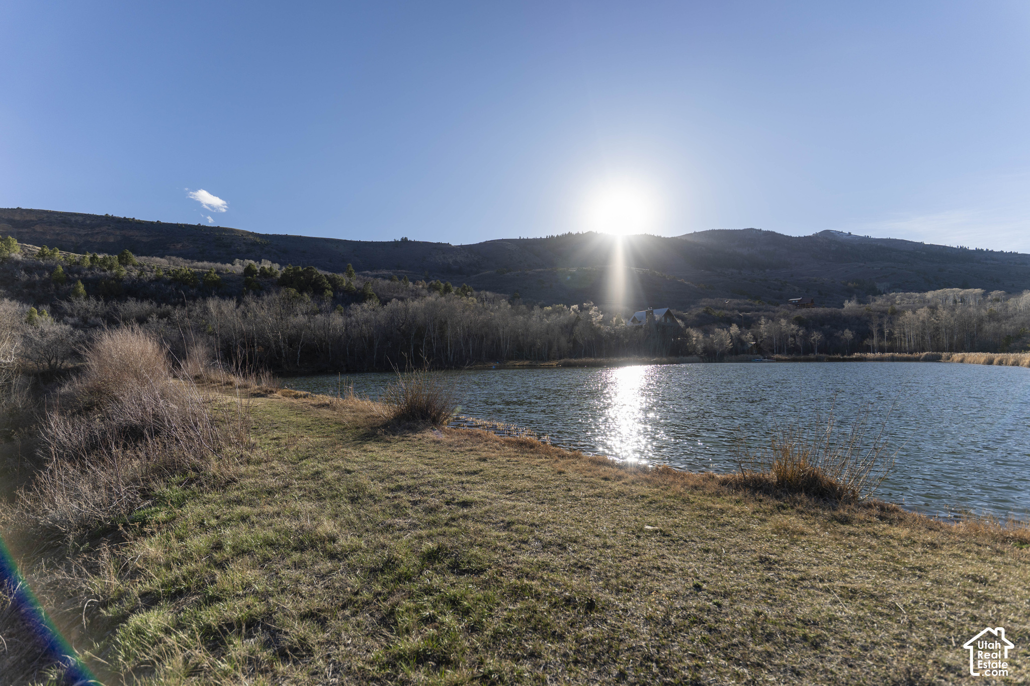 main property photo 67