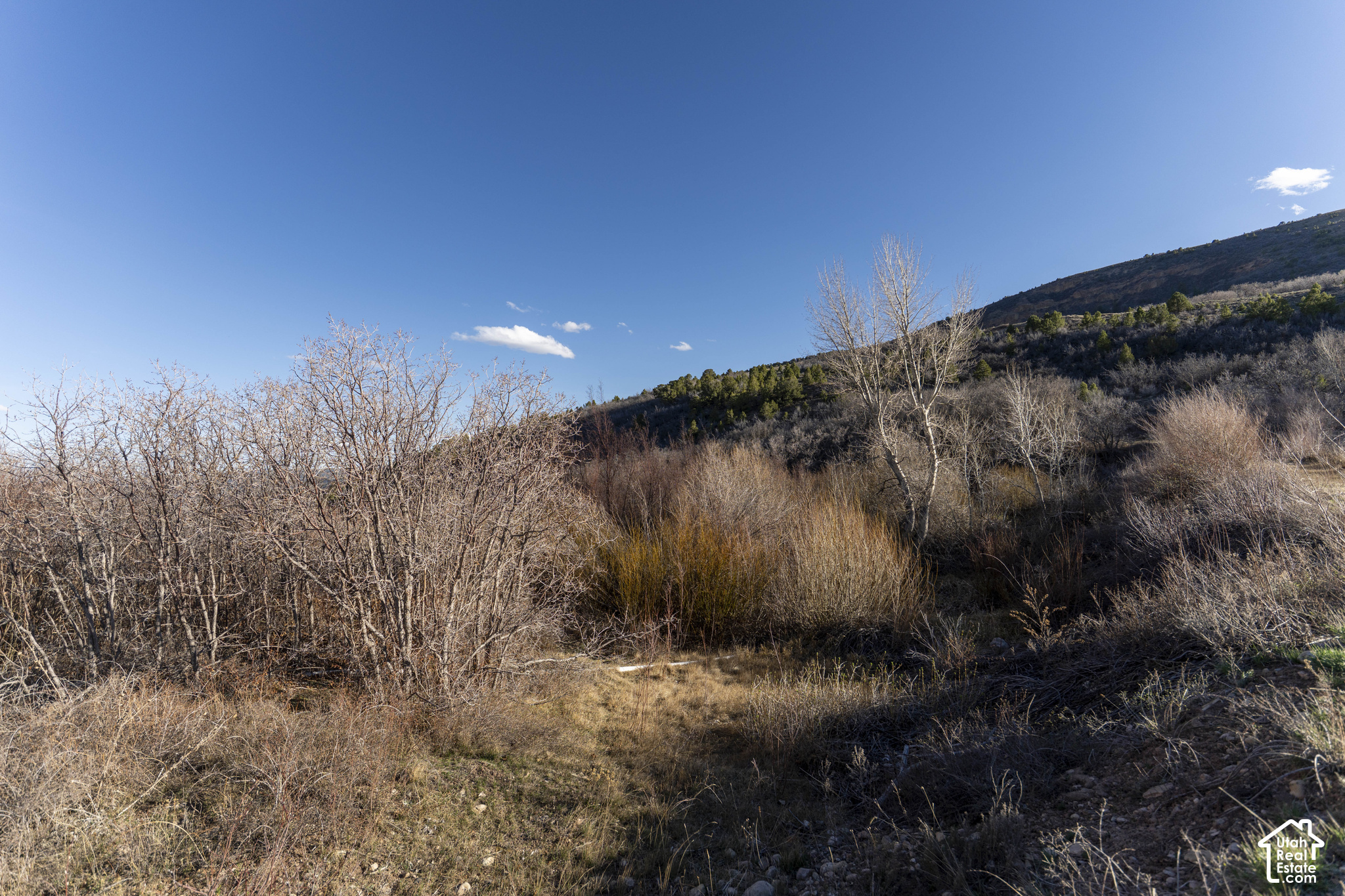 main property photo 69