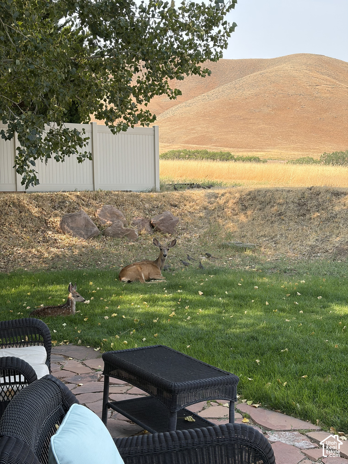 main property photo 53