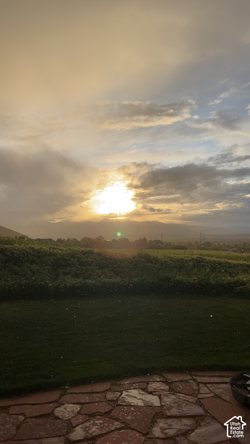 main property photo 54