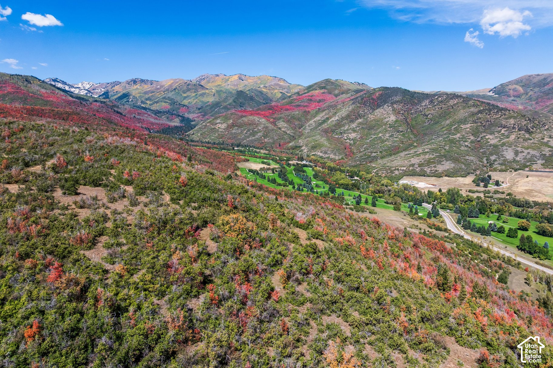 main property photo 14