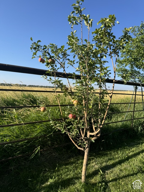 main property photo 33