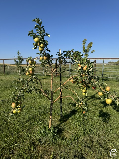 main property photo 36