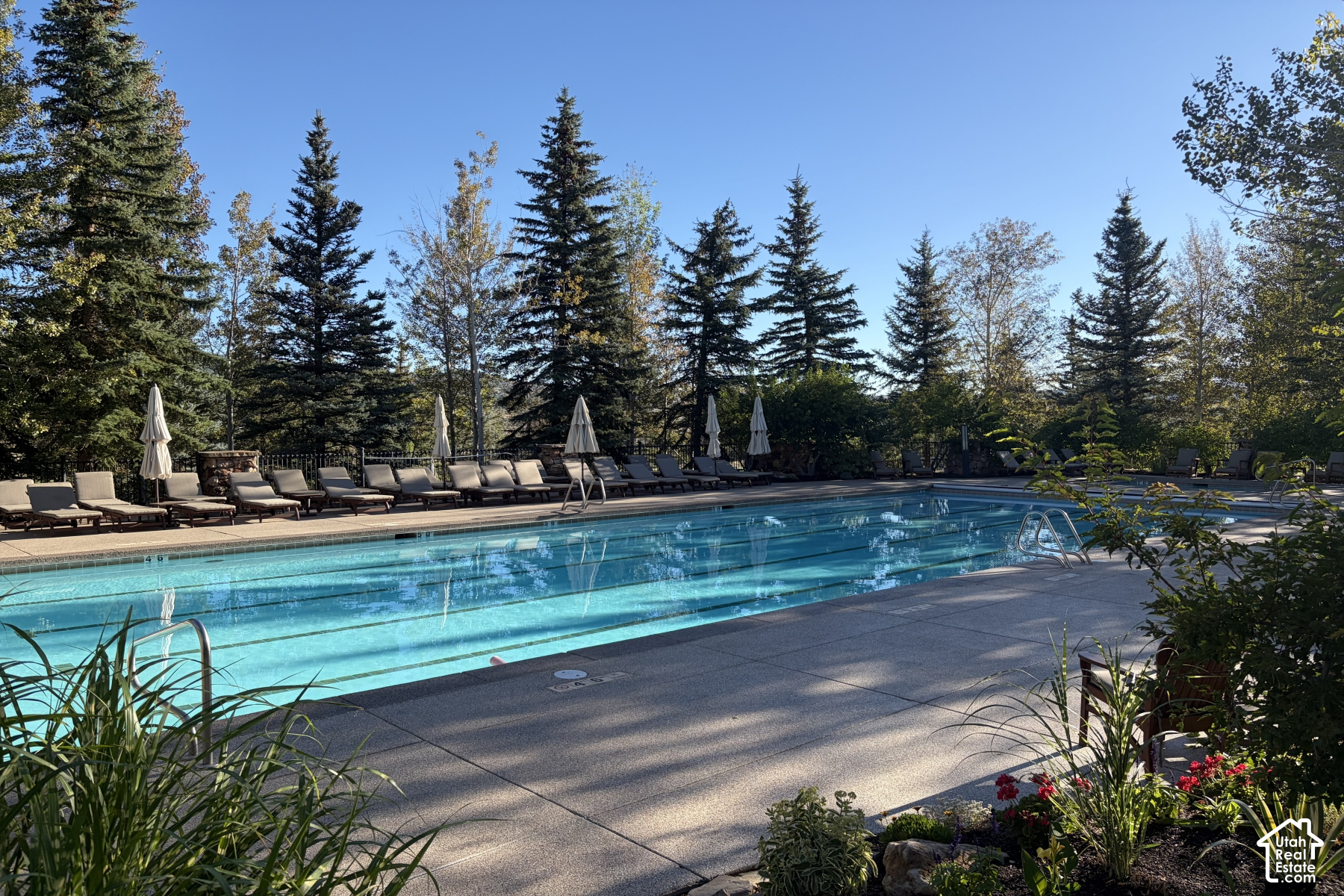 main property photo 77