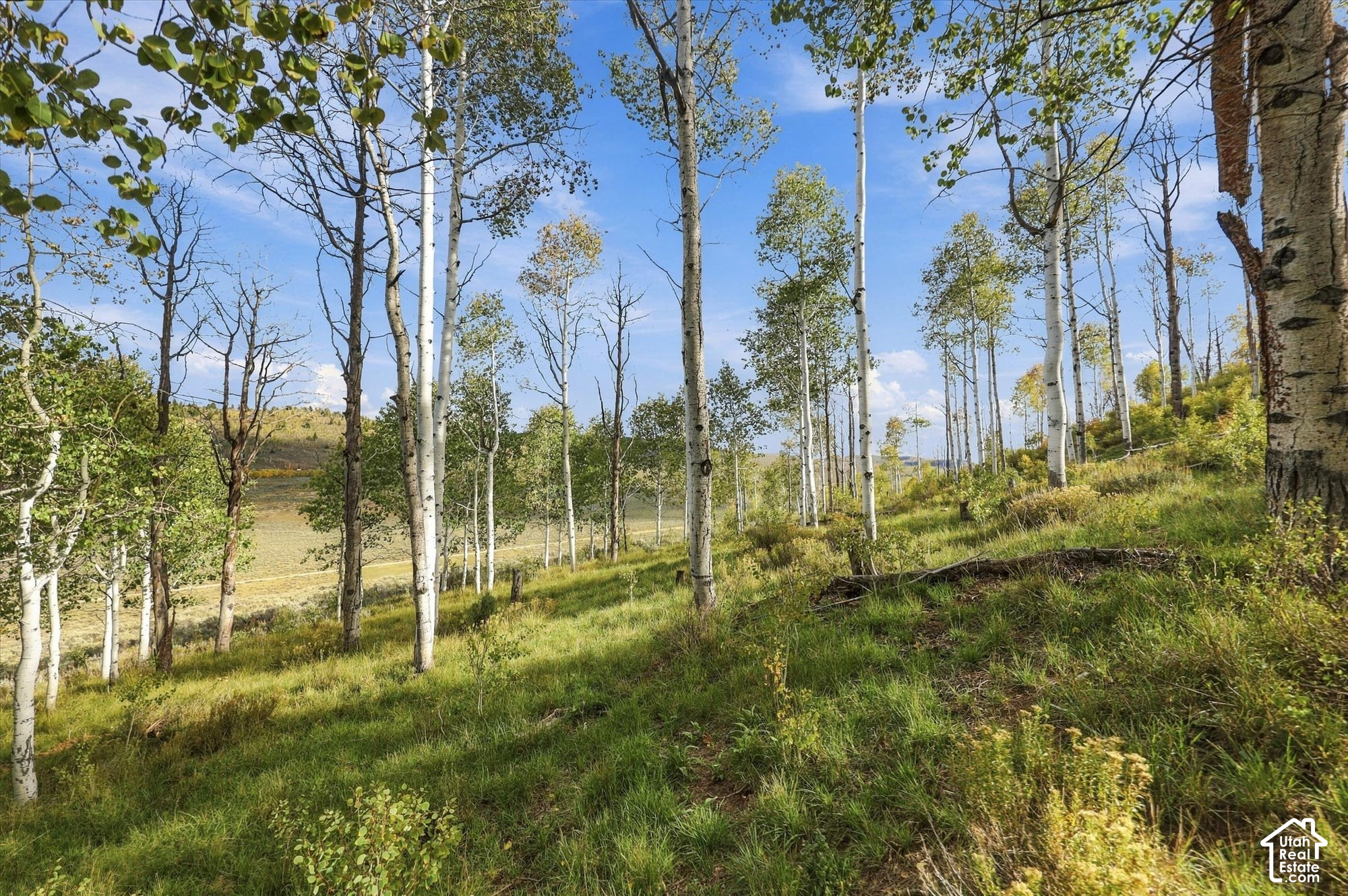 main property photo 46