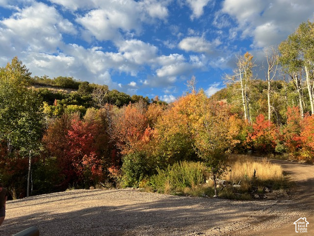 main property photo 0