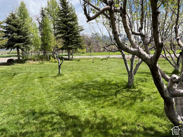 main property photo 11