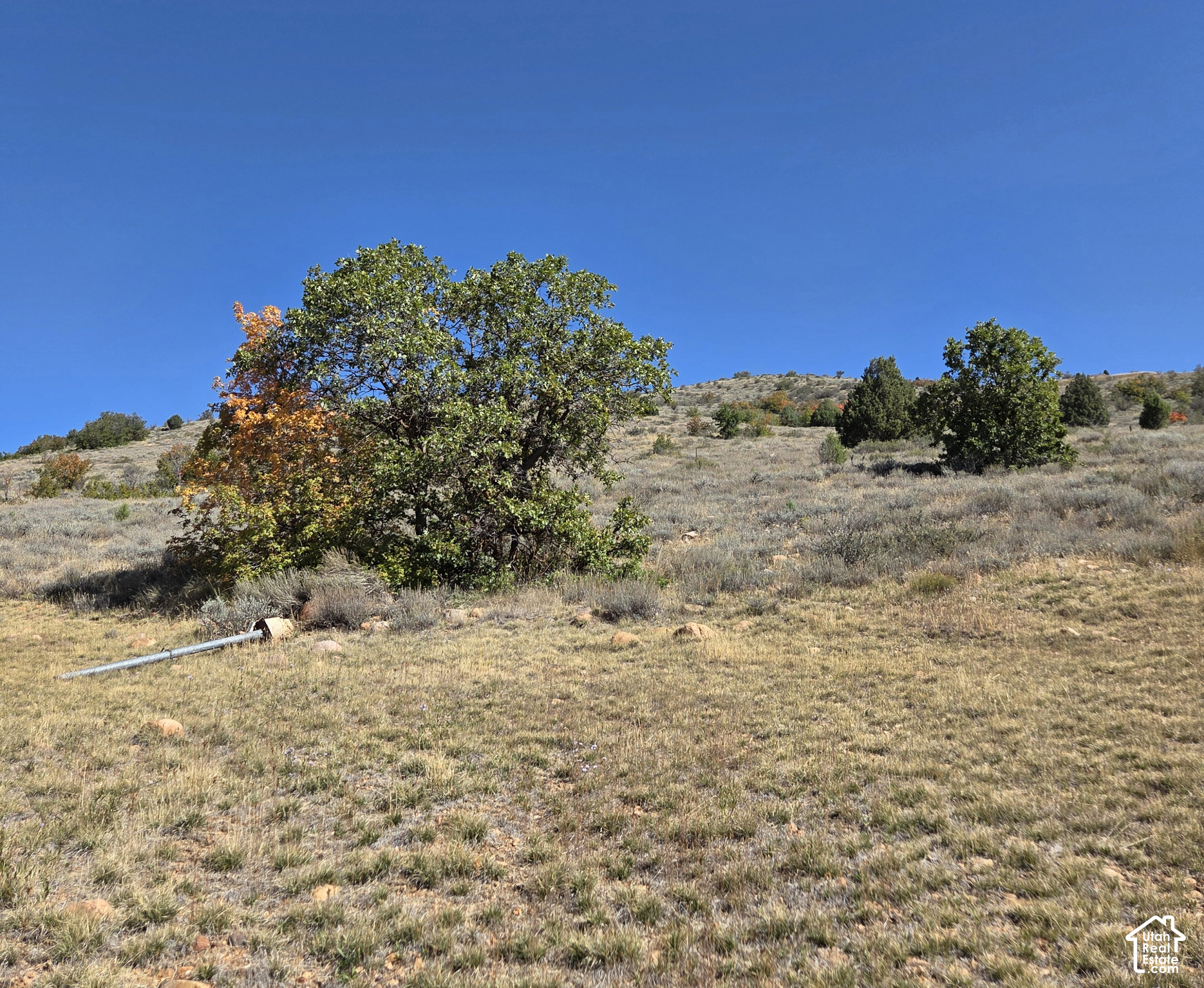 main property photo 11
