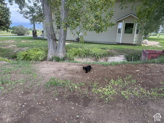 main property photo 61