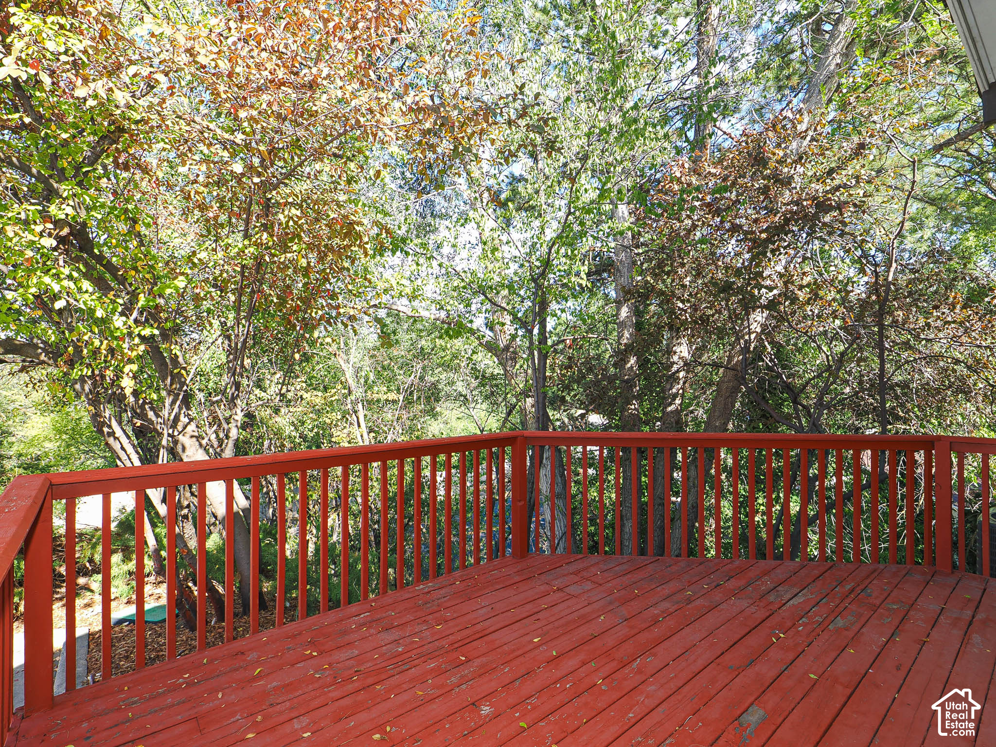 property viewer photo 3