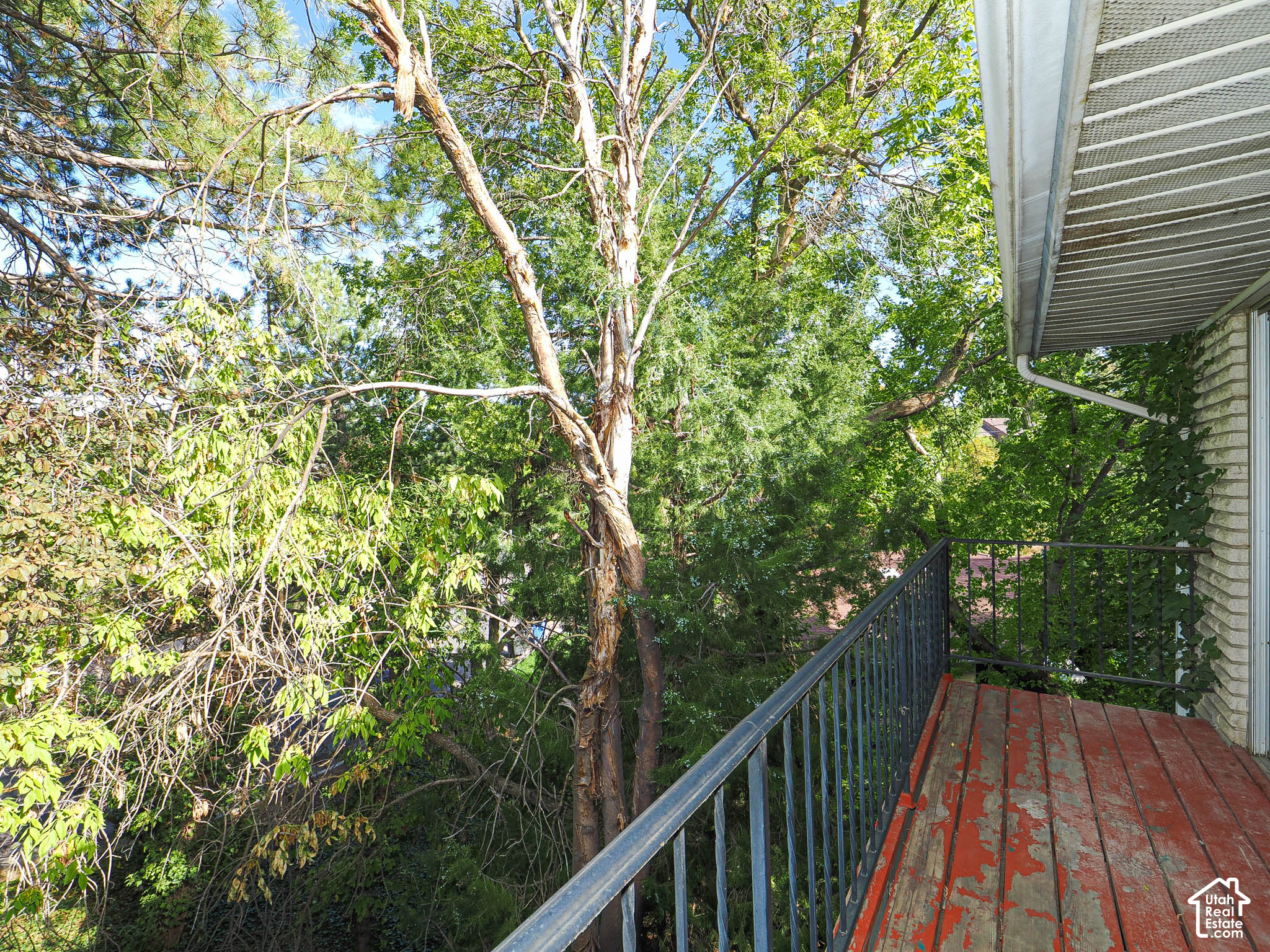 property viewer photo 50