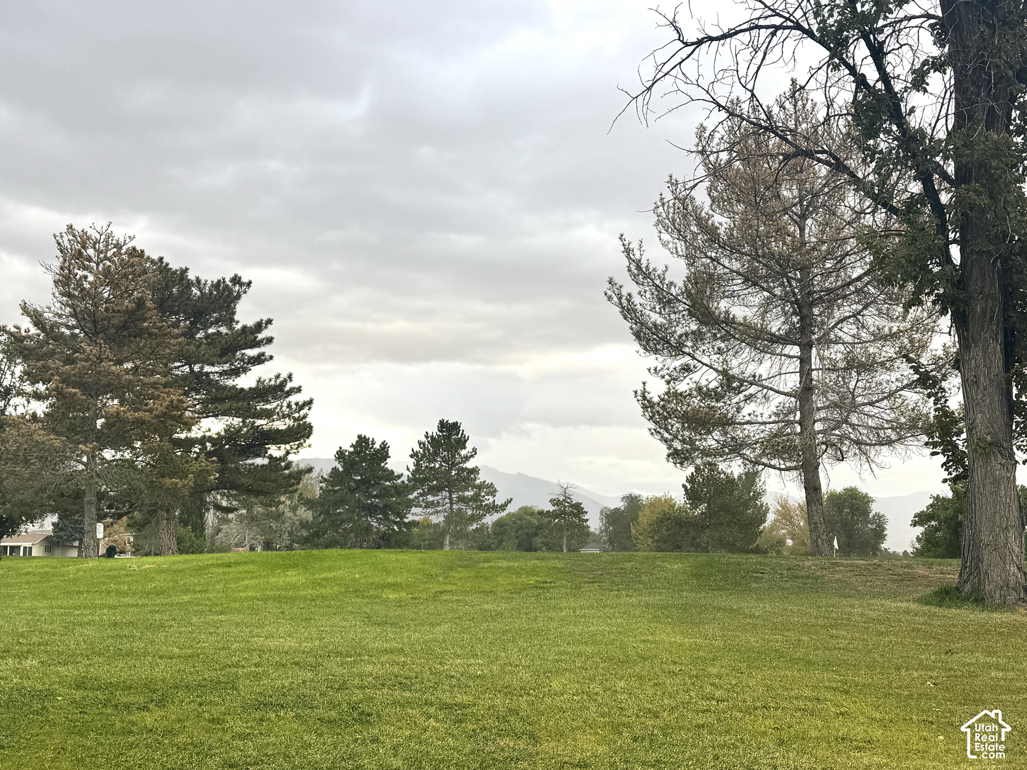 main property photo 54
