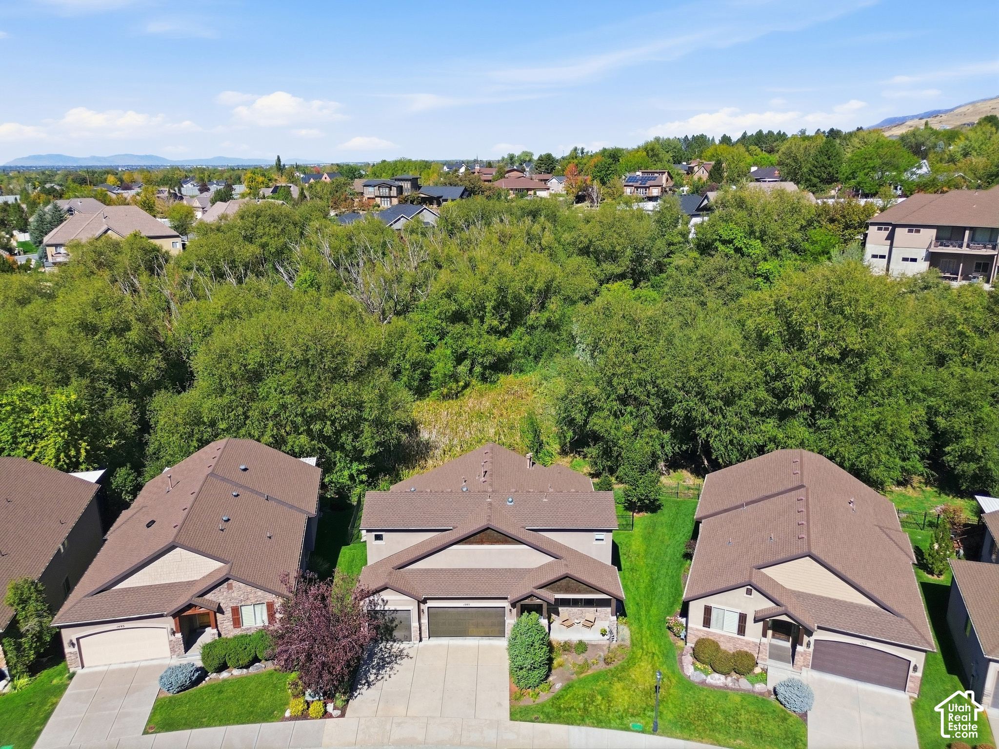 main property photo 54