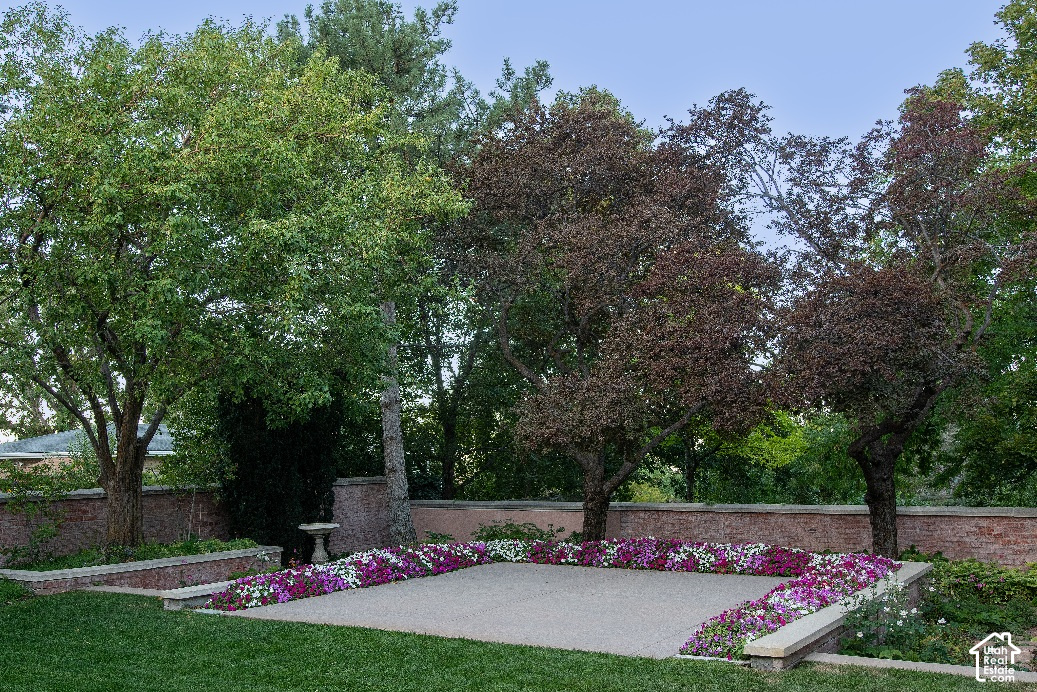 main property photo 56
