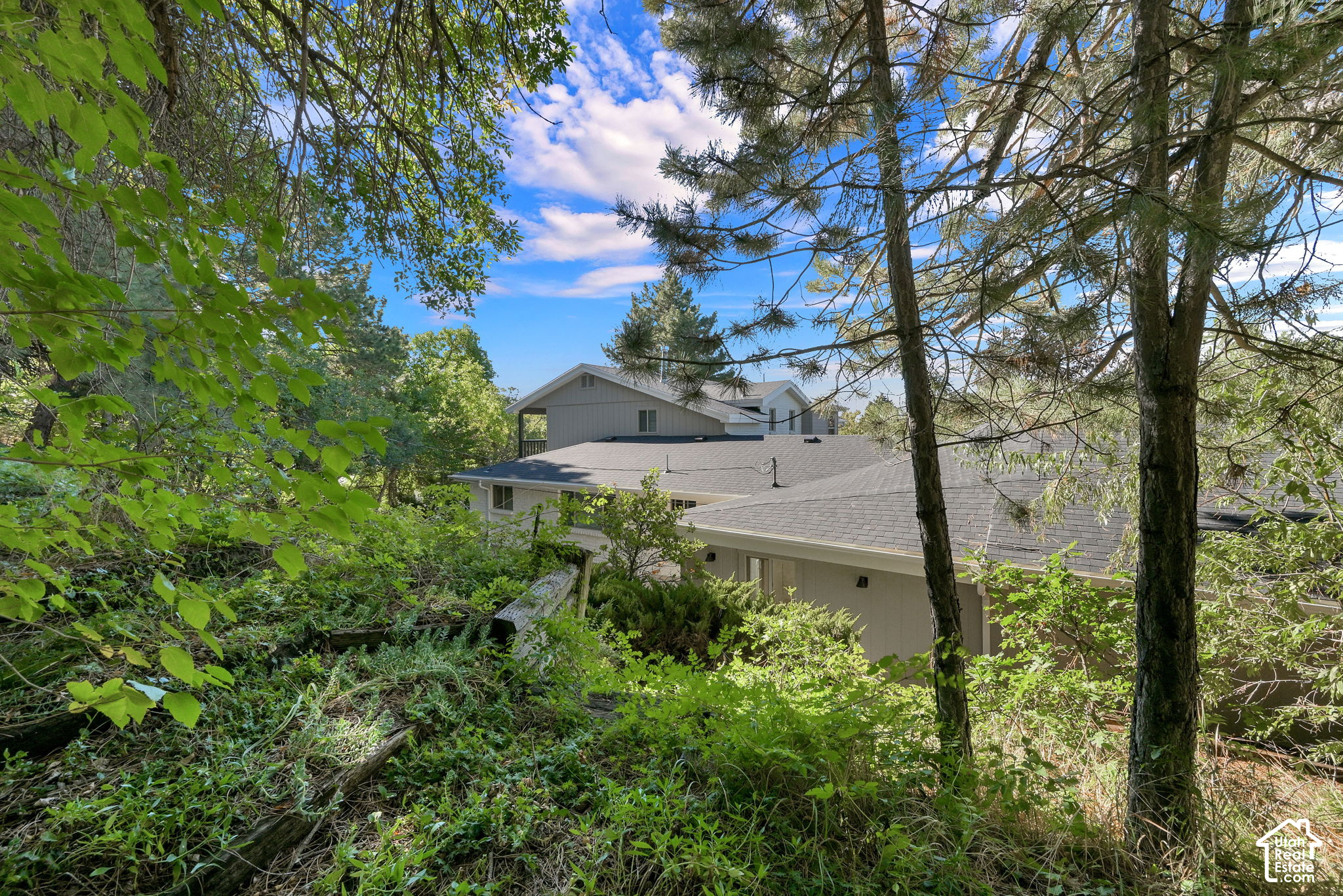 main property photo 87
