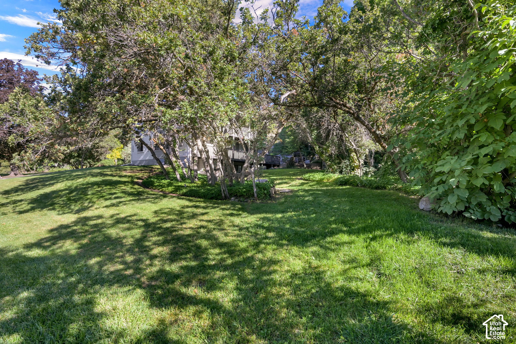main property photo 89
