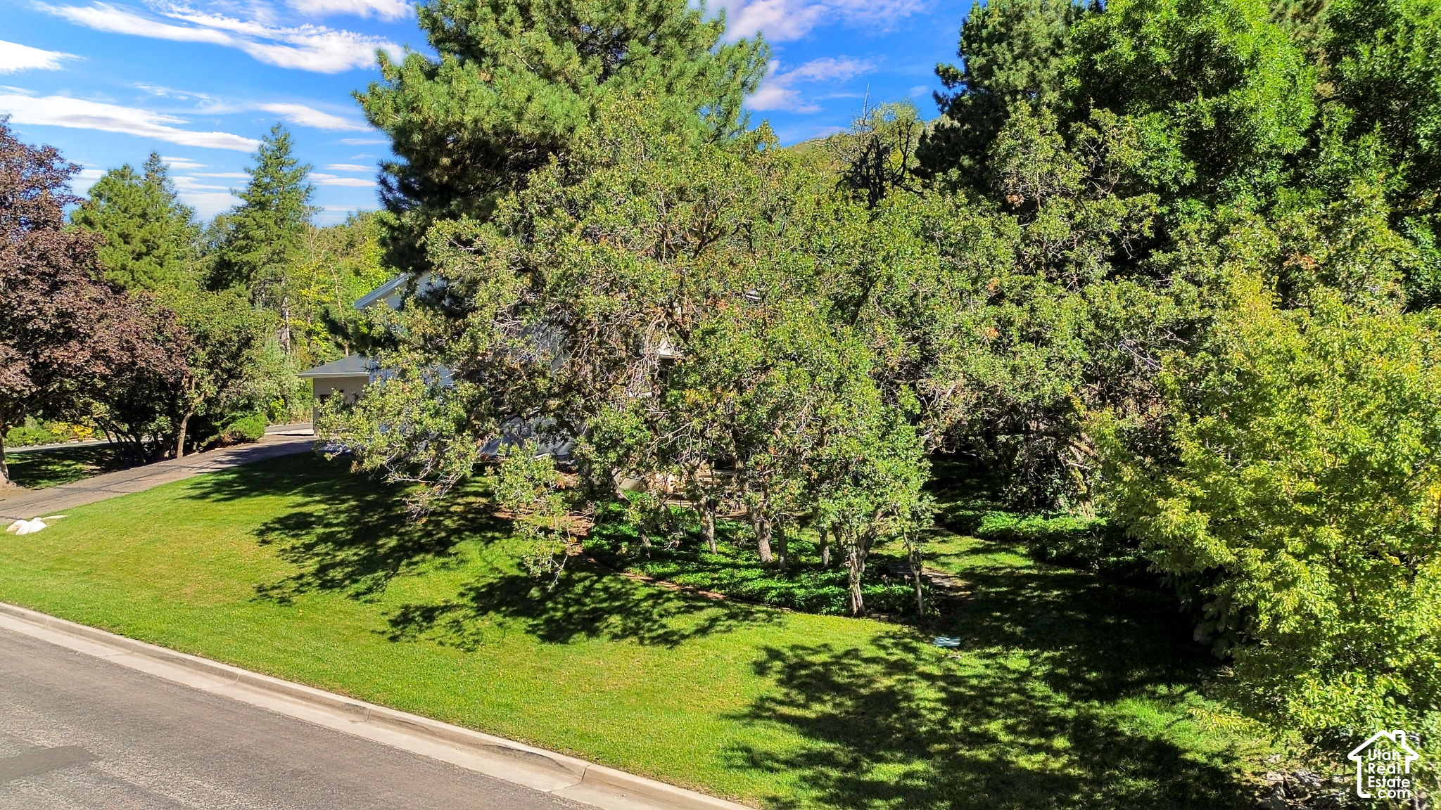 main property photo 90