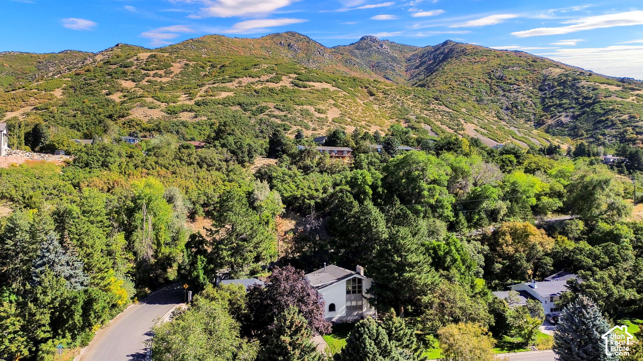 main property photo 93