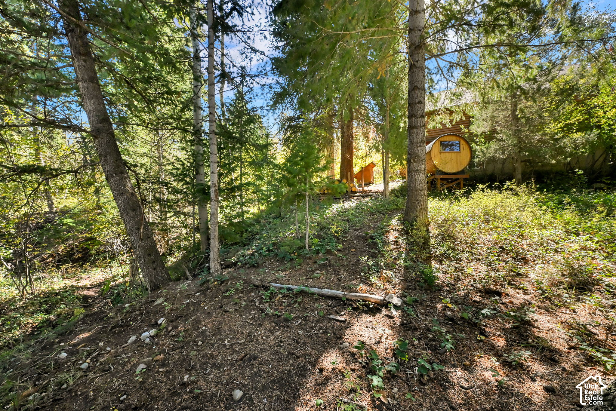 main property photo 37