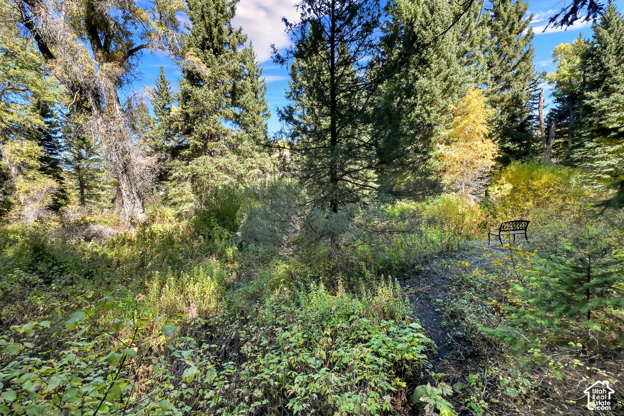 main property photo 39