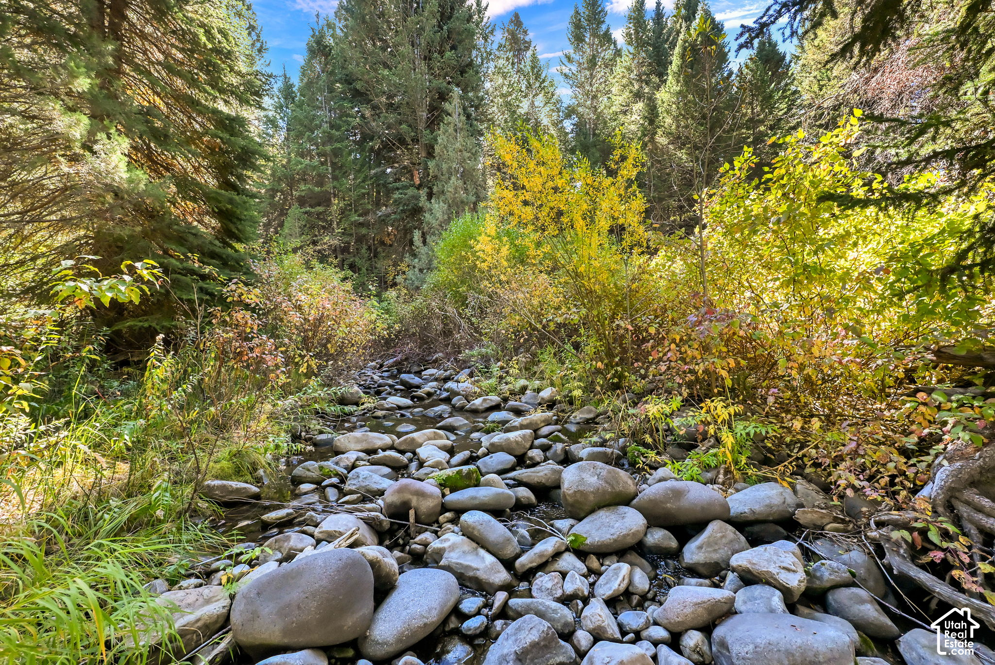 main property photo 42