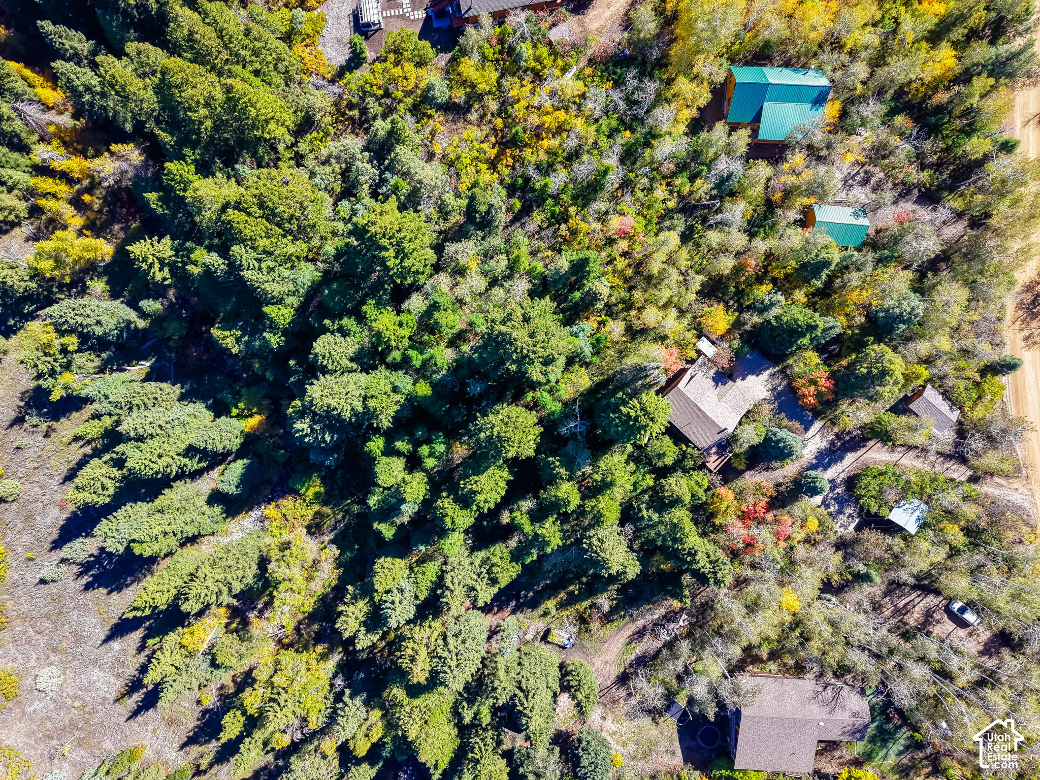 main property photo 56