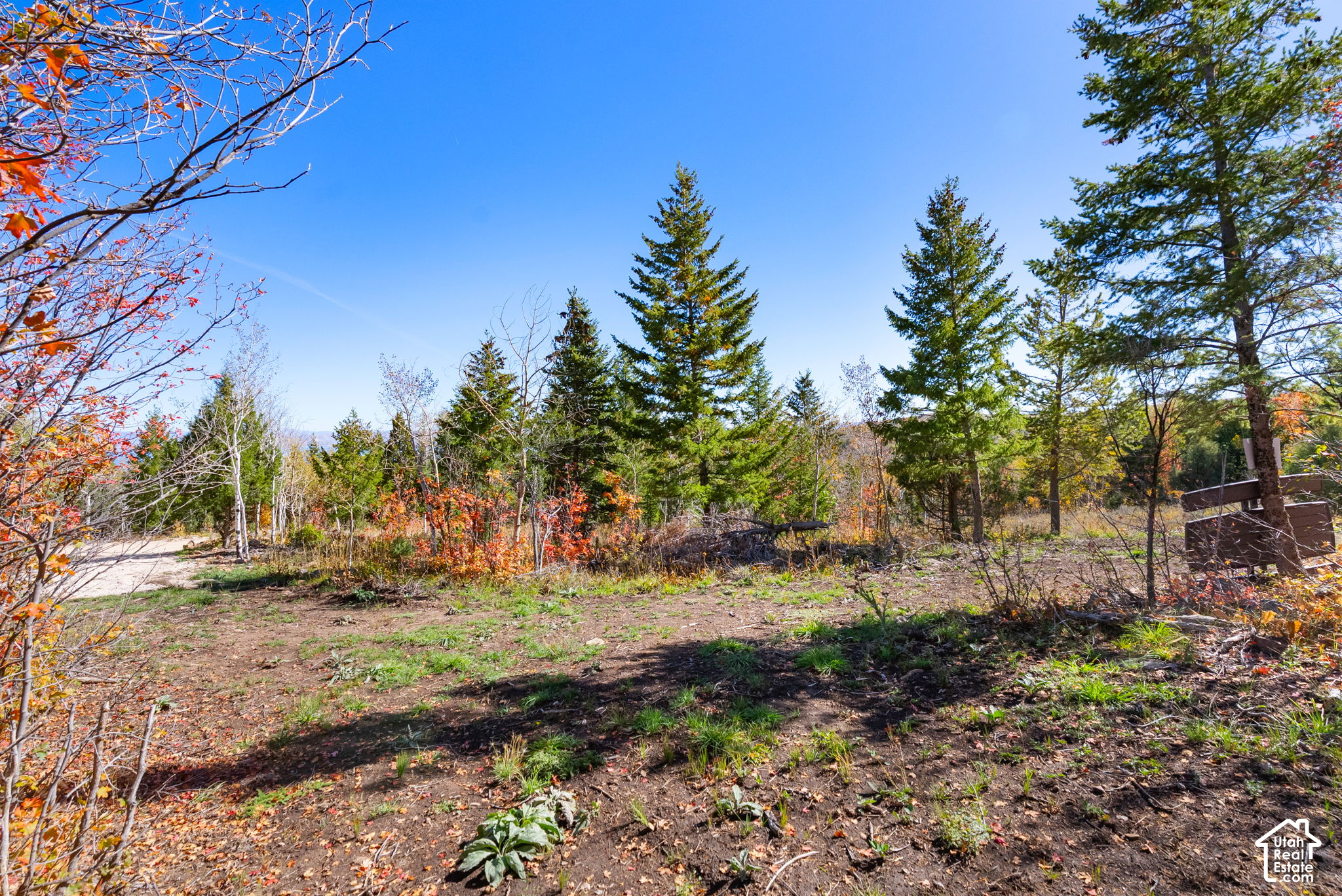 main property photo 10